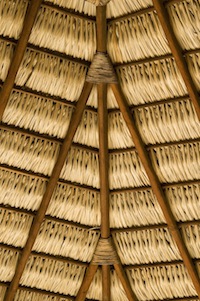 Main palapa